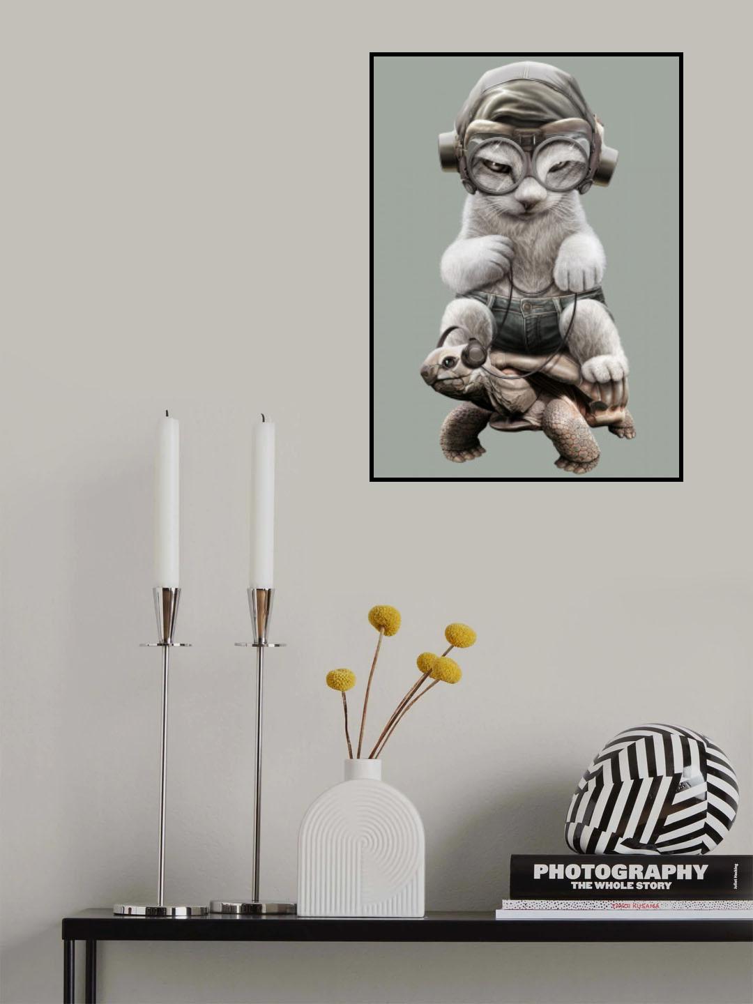 CAT RIDING TORTOISE Poster och Canvastavla