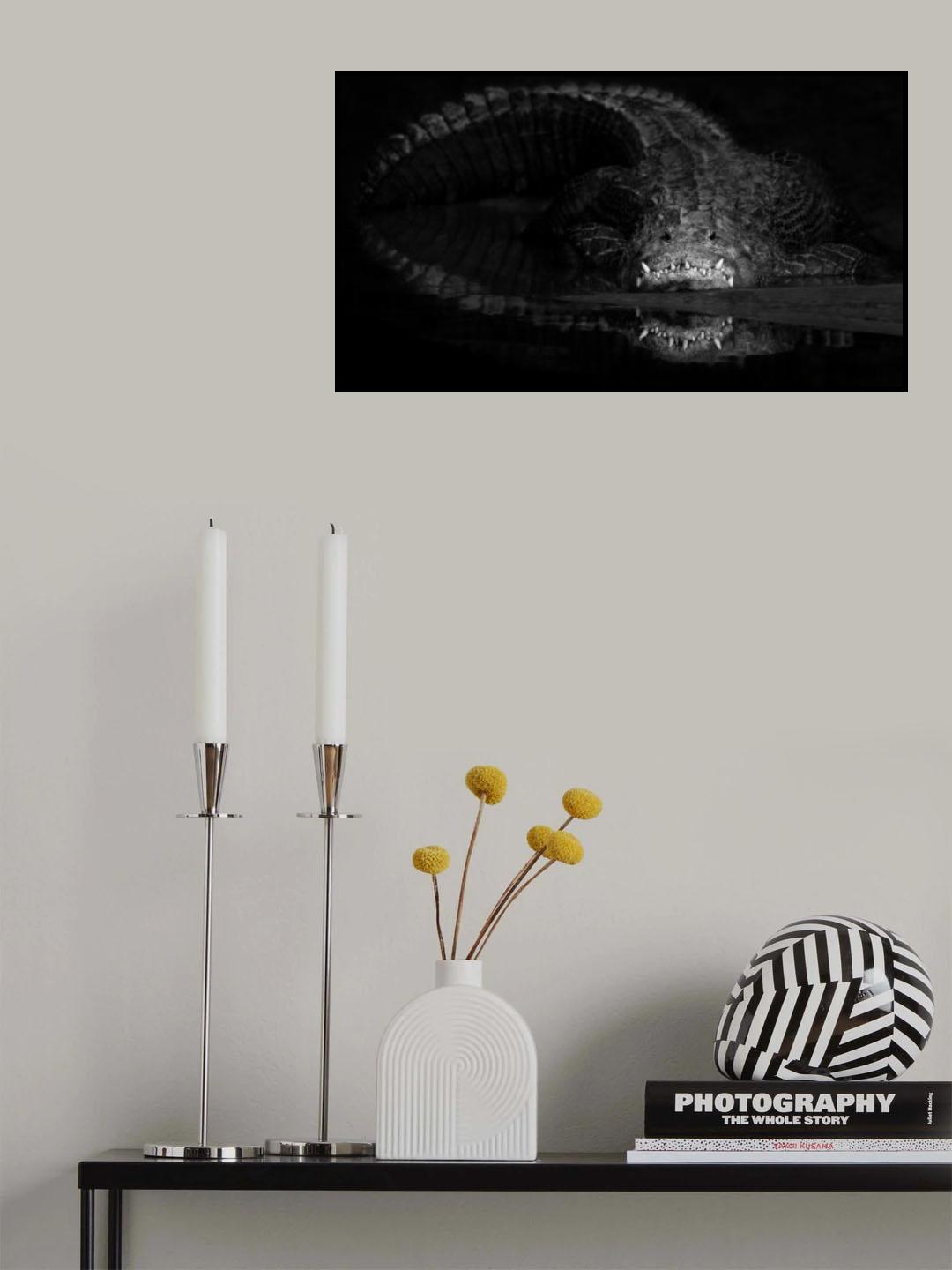 Teeth Poster och Canvastavla