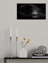 Teeth Poster och Canvastavla