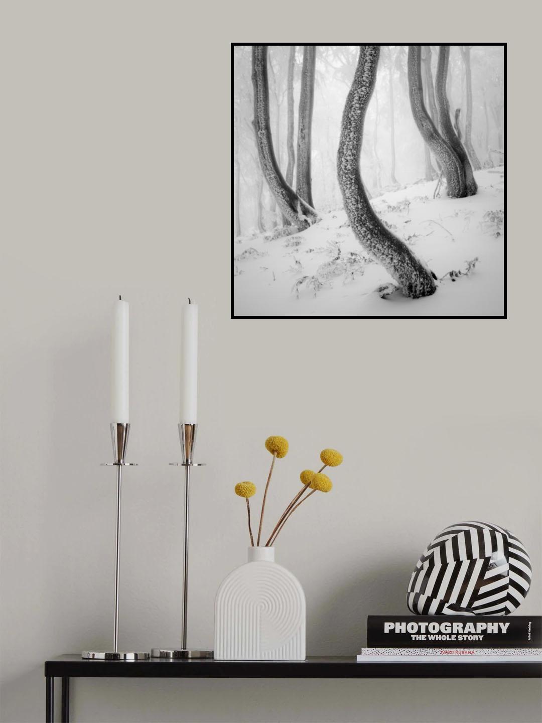 Frozen Forest Poster och Canvastavla