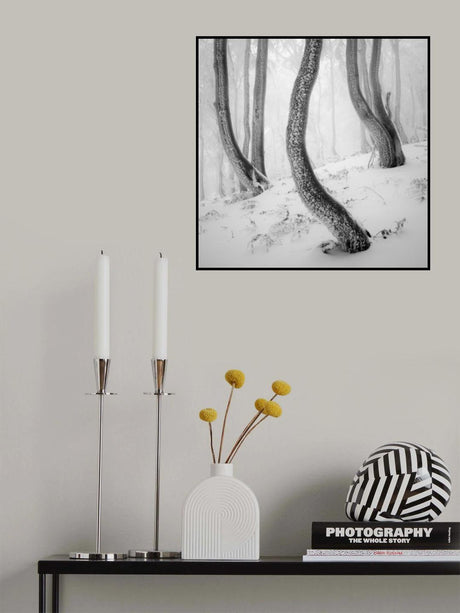 Frozen Forest Poster och Canvastavla
