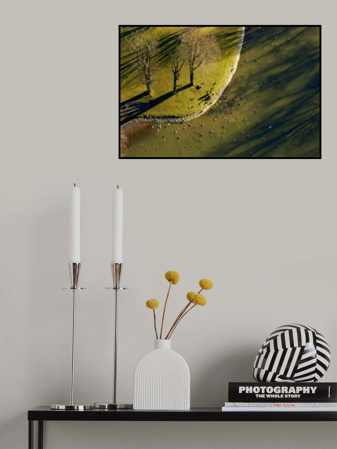 View from Above Poster och Canvastavla