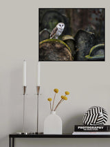 Owl at cemetery Poster och Canvastavla