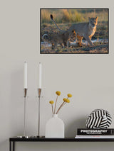 play with me Poster och Canvastavla