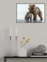 Love and firmness - kamchatka, Russia Poster och Canvastavla