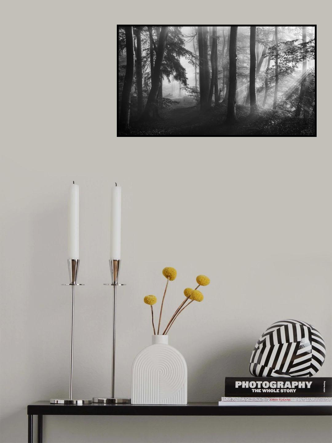 The first light... Poster och Canvastavla