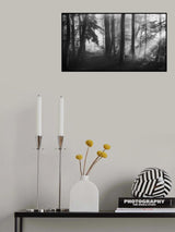 The first light... Poster och Canvastavla