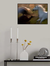 praud Poster och Canvastavla