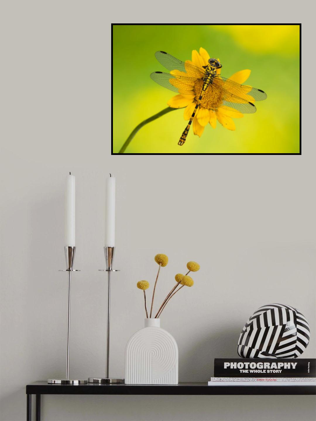 Yellow in yellow in yellow! Poster och Canvastavla