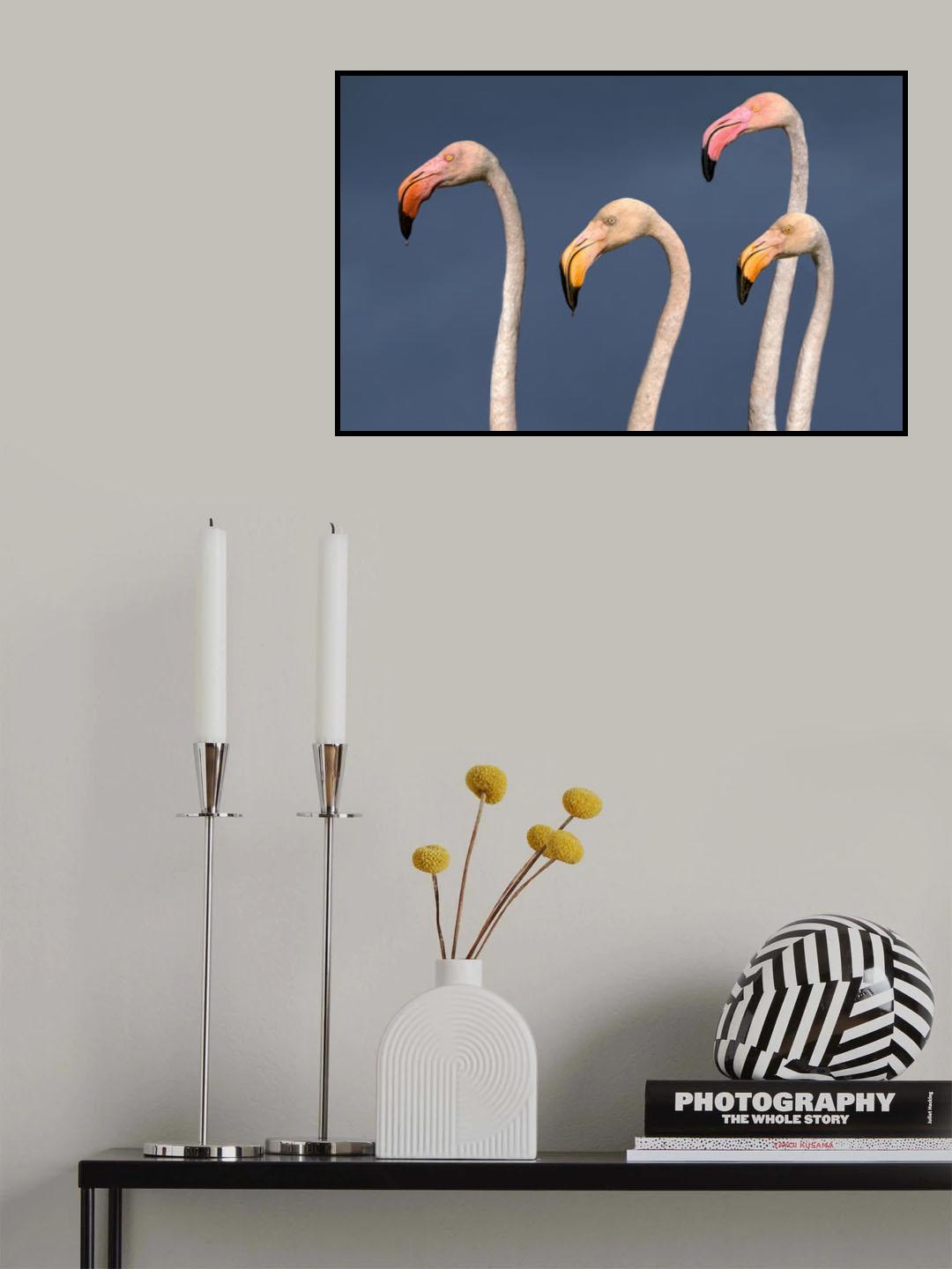 Flamingos Close Up Poster och Canvastavla