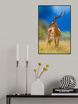 impala Poster och Canvastavla