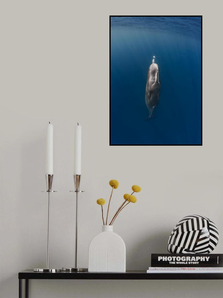 Sweet Dreams Poster och Canvastavla