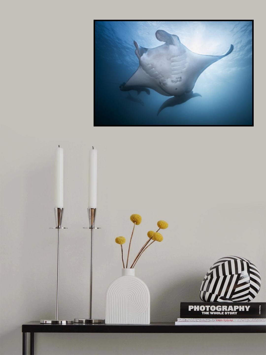 Manta Mother Poster och Canvastavla