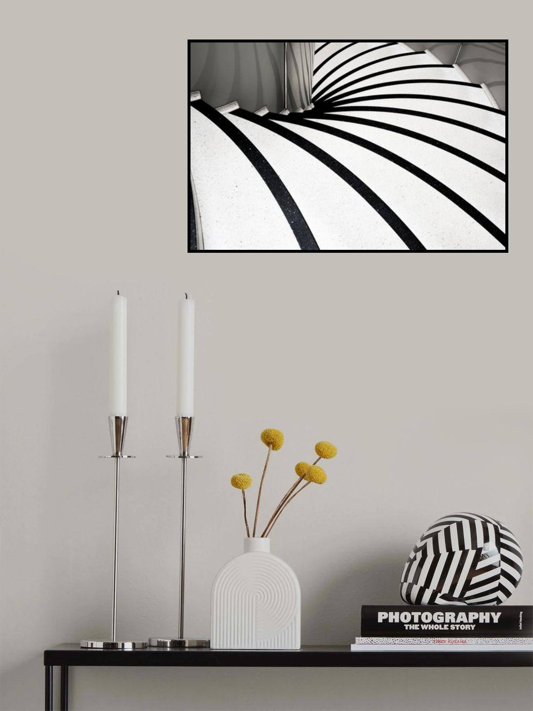 zebra steps Poster och Canvastavla