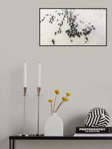 Buffalos Poster och Canvastavla