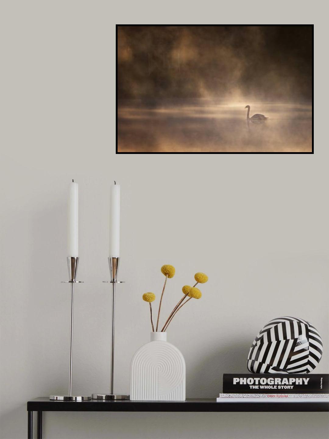 Foggy morning Poster och Canvastavla
