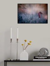 Early lighting Poster och Canvastavla