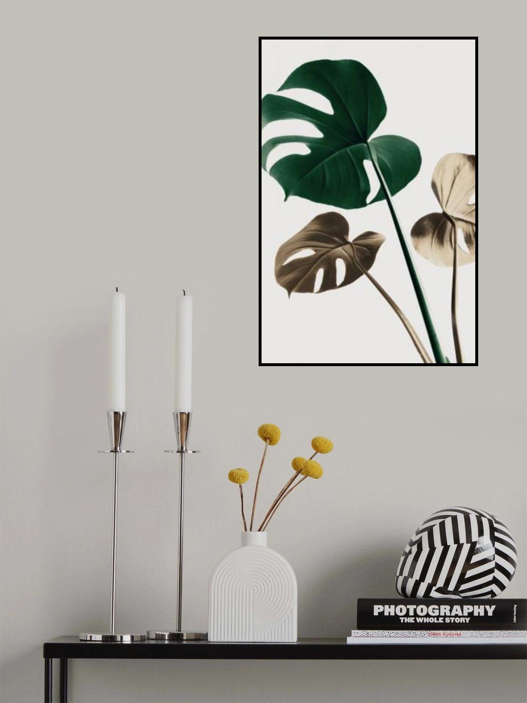 Monstera Mix 04 Poster och Canvastavla