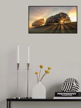 The small deer. Poster och Canvastavla