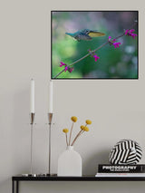 A High Jumper Poster och Canvastavla