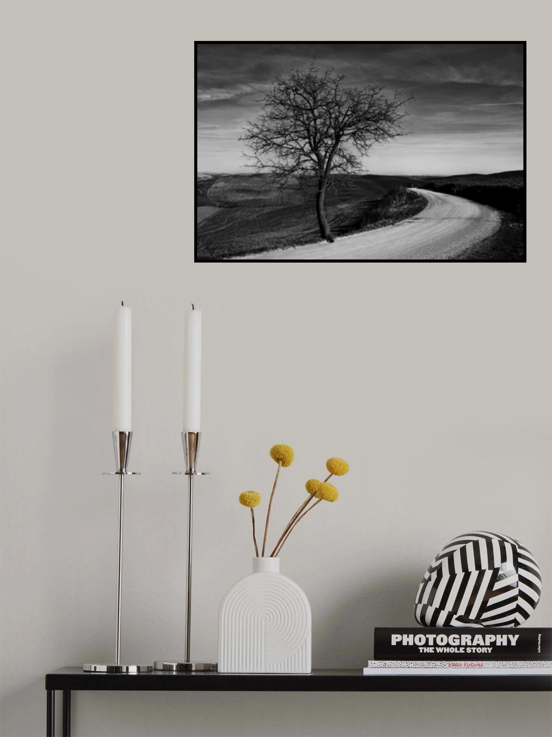 la valle Poster och Canvastavla