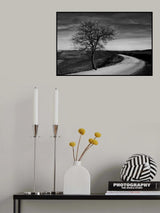 la valle Poster och Canvastavla