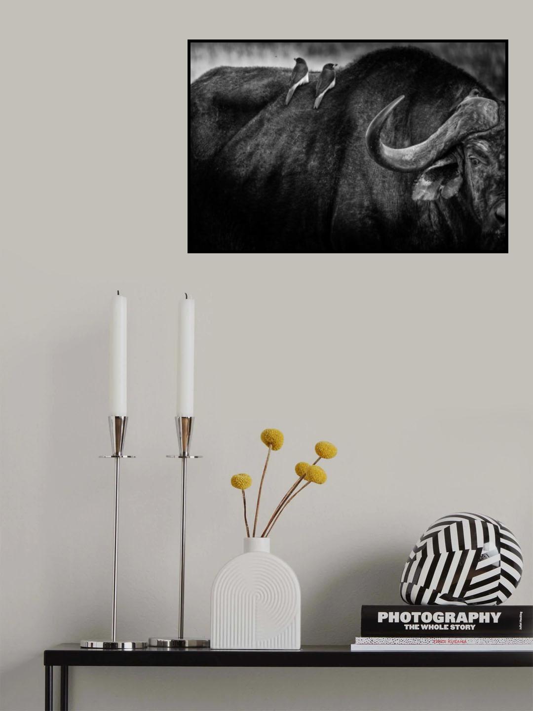 and then there were three! Poster och Canvastavla