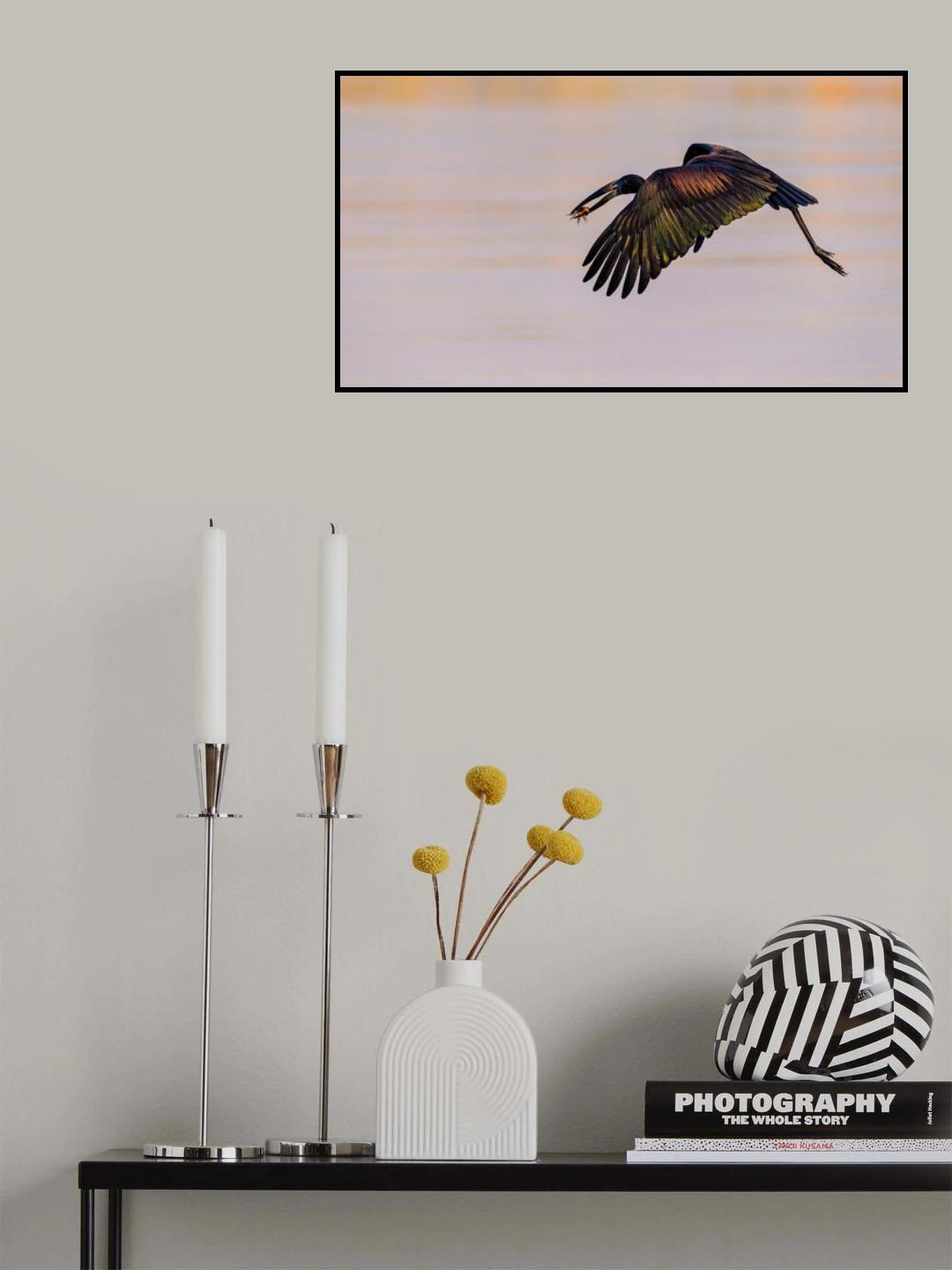 The Stork and The Crab Poster och Canvastavla