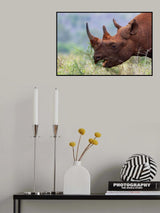 The Beak of the Black Poster och Canvastavla