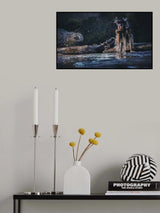 Warrior Poster och Canvastavla