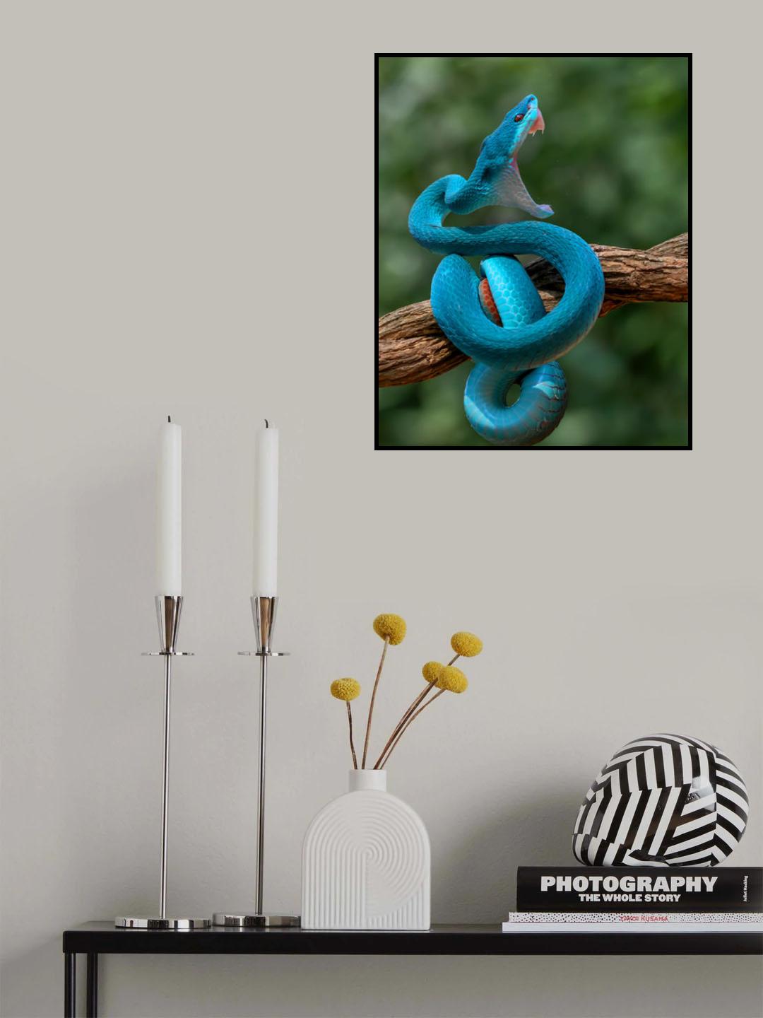 Angry Snake Poster och Canvastavla