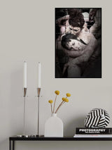 together Poster och Canvastavla