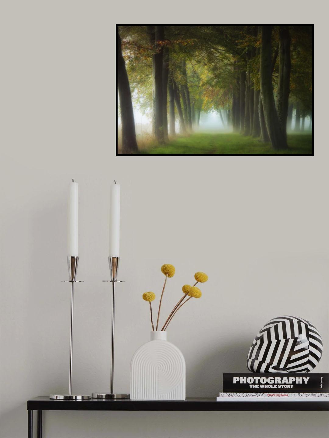 a foggy October morning Poster och Canvastavla