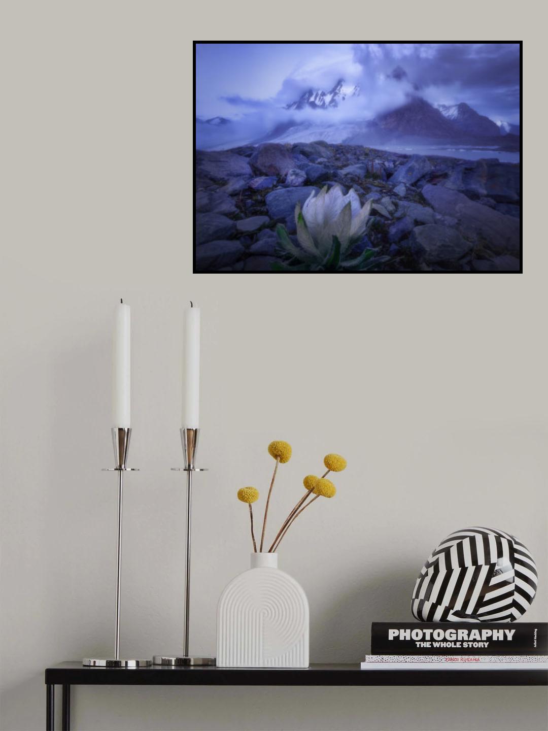 dreamland Poster och Canvastavla