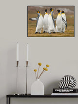 Choirs Poster och Canvastavla