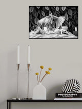 X Poster och Canvastavla