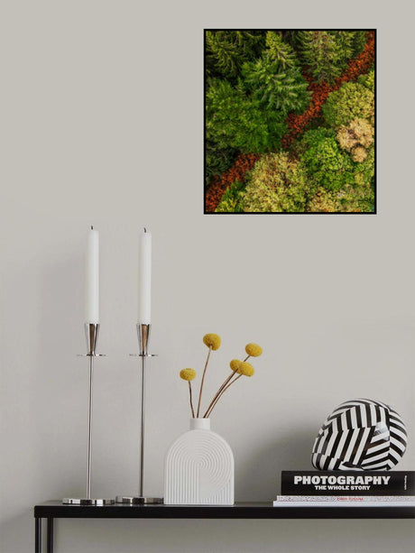 La route de la forêt Poster och Canvastavla