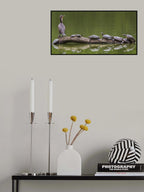 The Turtle King Poster och Canvastavla