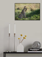 The cat and the mouse Poster och Canvastavla