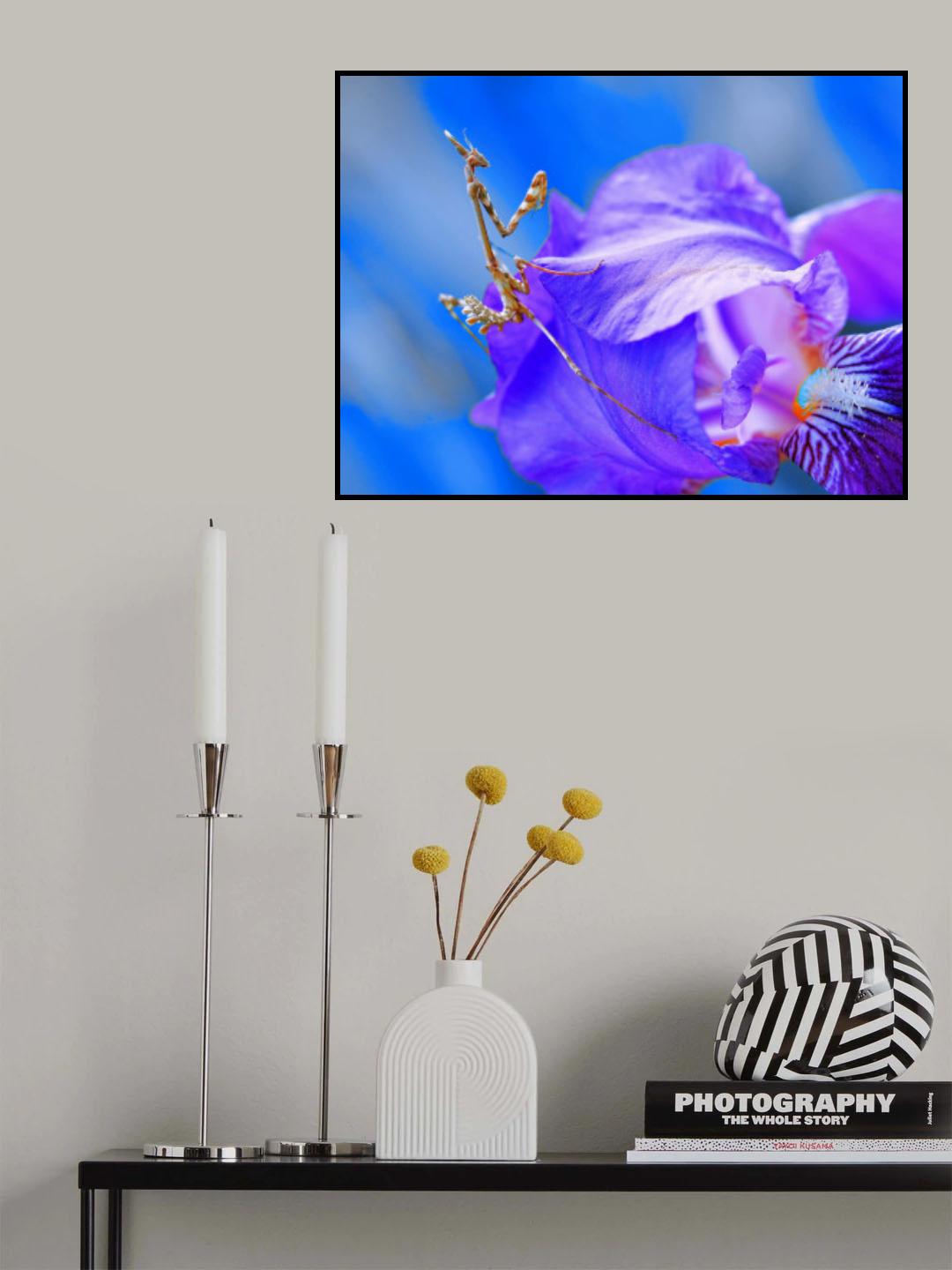 The queen and her blue palace... Poster och Canvastavla