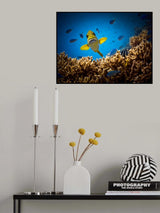 Get out of my territory!!! Poster och Canvastavla