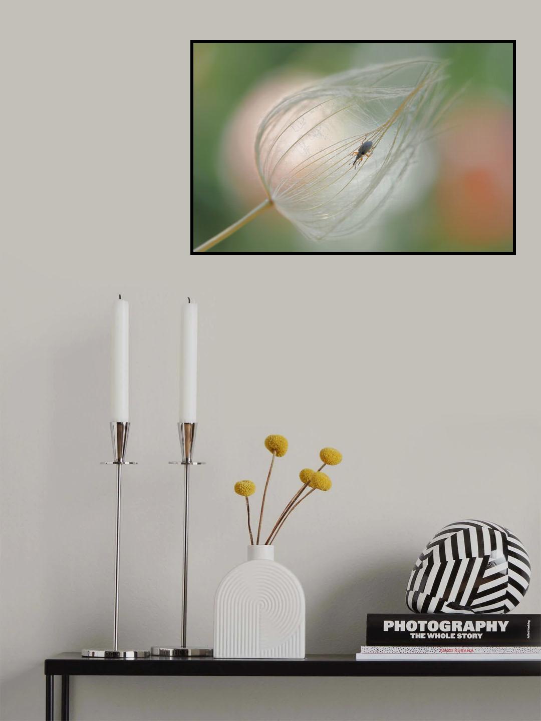 Light trap... Poster och Canvastavla