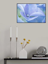 Pastel Poster och Canvastavla