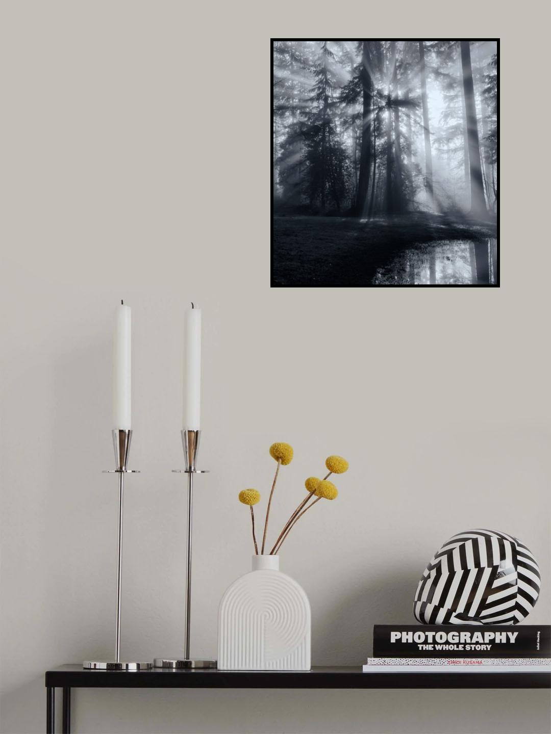 Forest Poster och Canvastavla