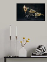 Fish and corn Poster och Canvastavla