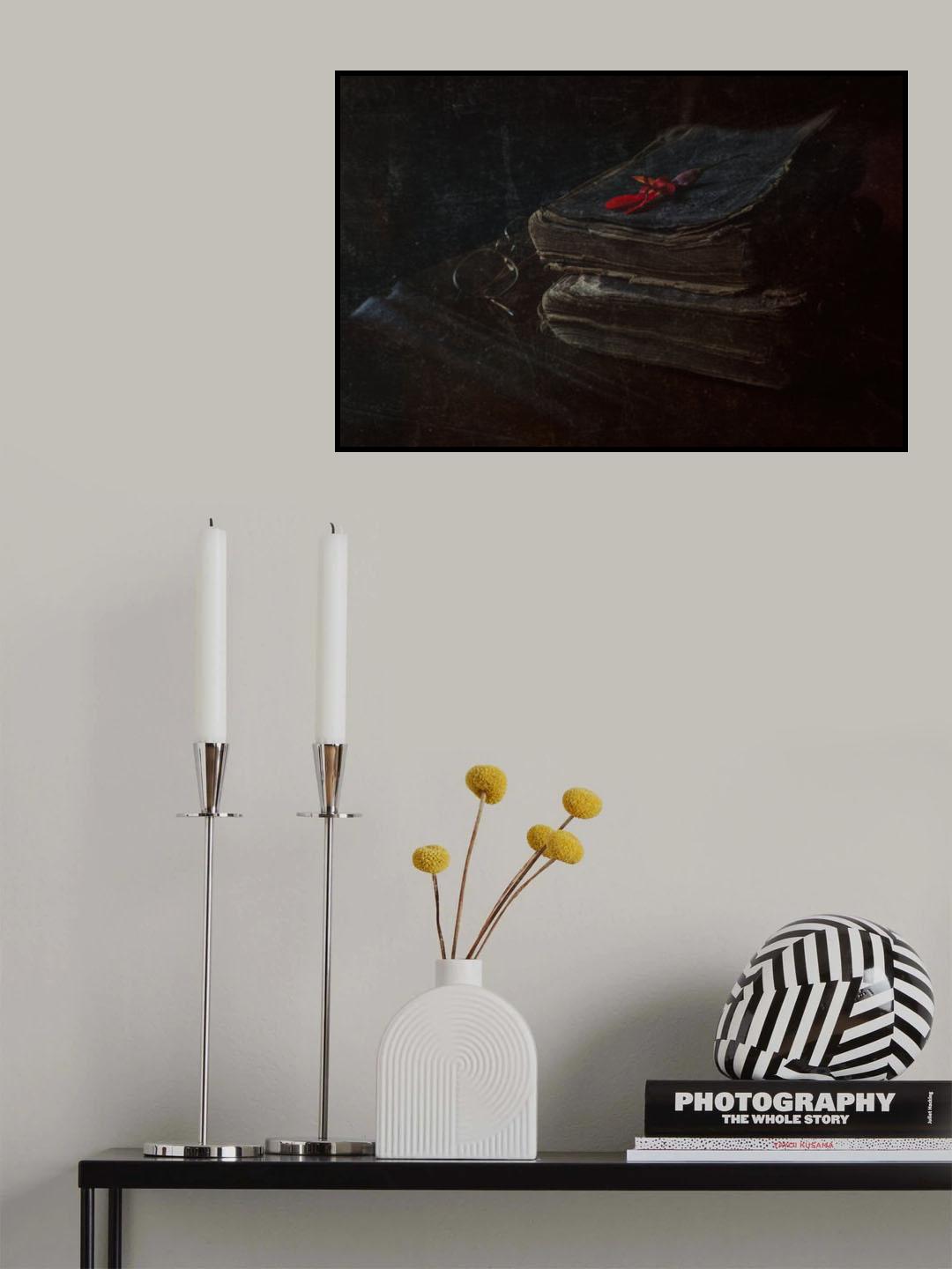old books Poster och Canvastavla