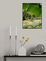 Tetebatu Lombok Poster och Canvastavla