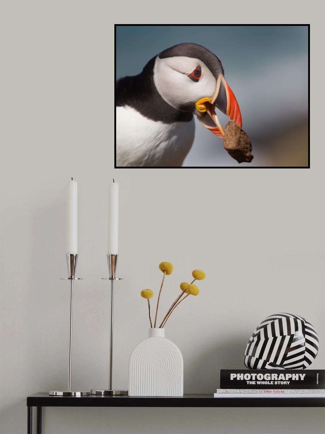 Cleaning house Poster och Canvastavla