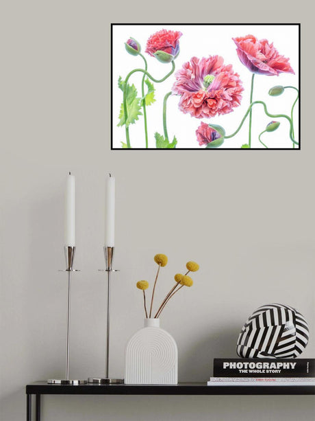 Fancy Poster och Canvastavla