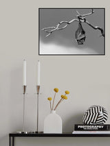 Sleepless Poster och Canvastavla